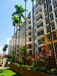 Sims Green (D14), Apartment #528799201